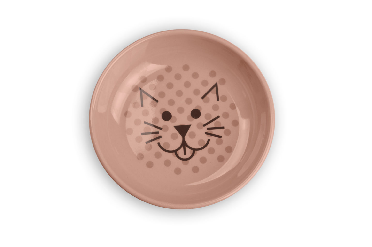 Ecoware ™Cat Dish Van Ness Pets