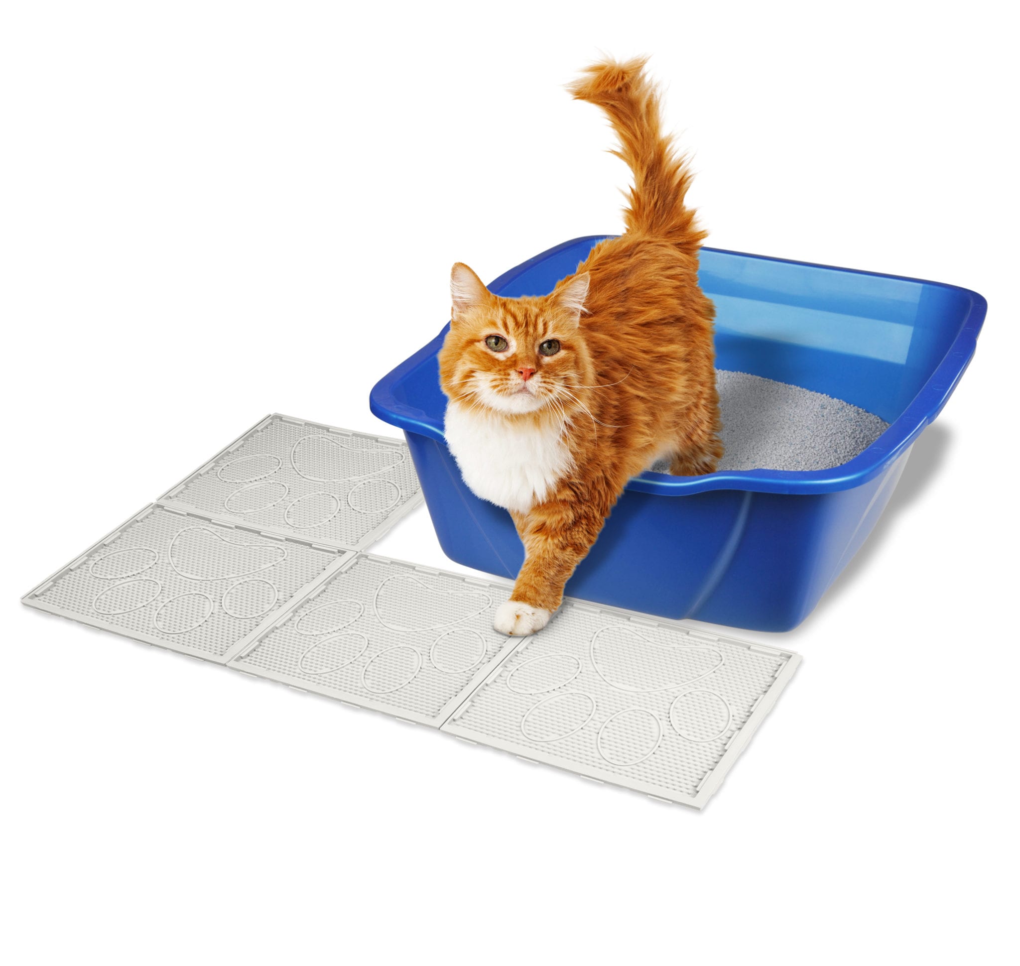 Trackless Litter Mat Tiles Van Ness Pets