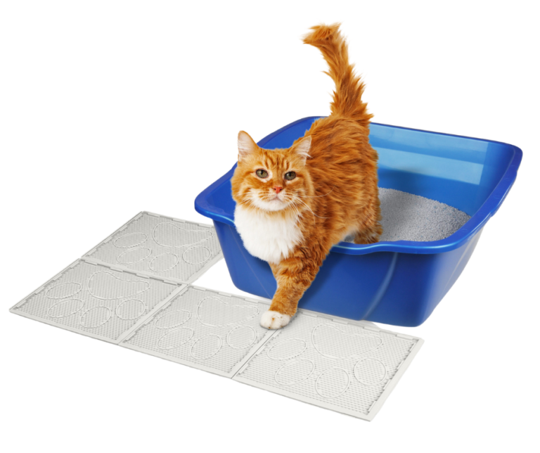 Van Ness Cat Scratch Pad — Concord Pet Foods & Supplies