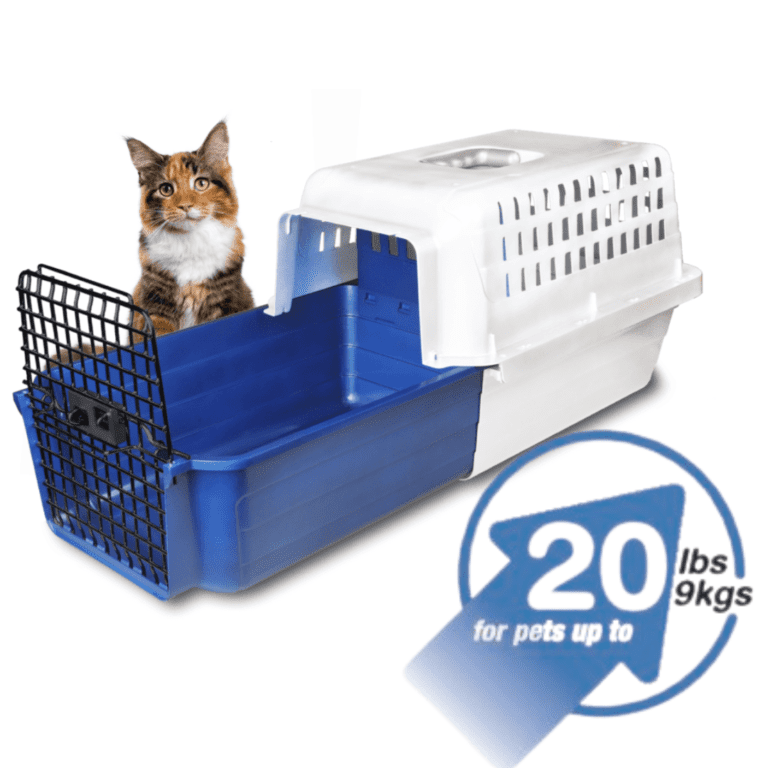 Photo inspiration: Visual Reference: Cat Carriers